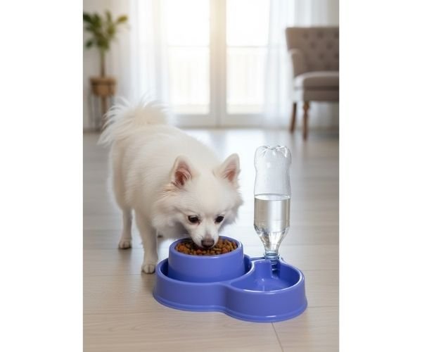 Comedouro Duo Pet Lilás - Imagem 4